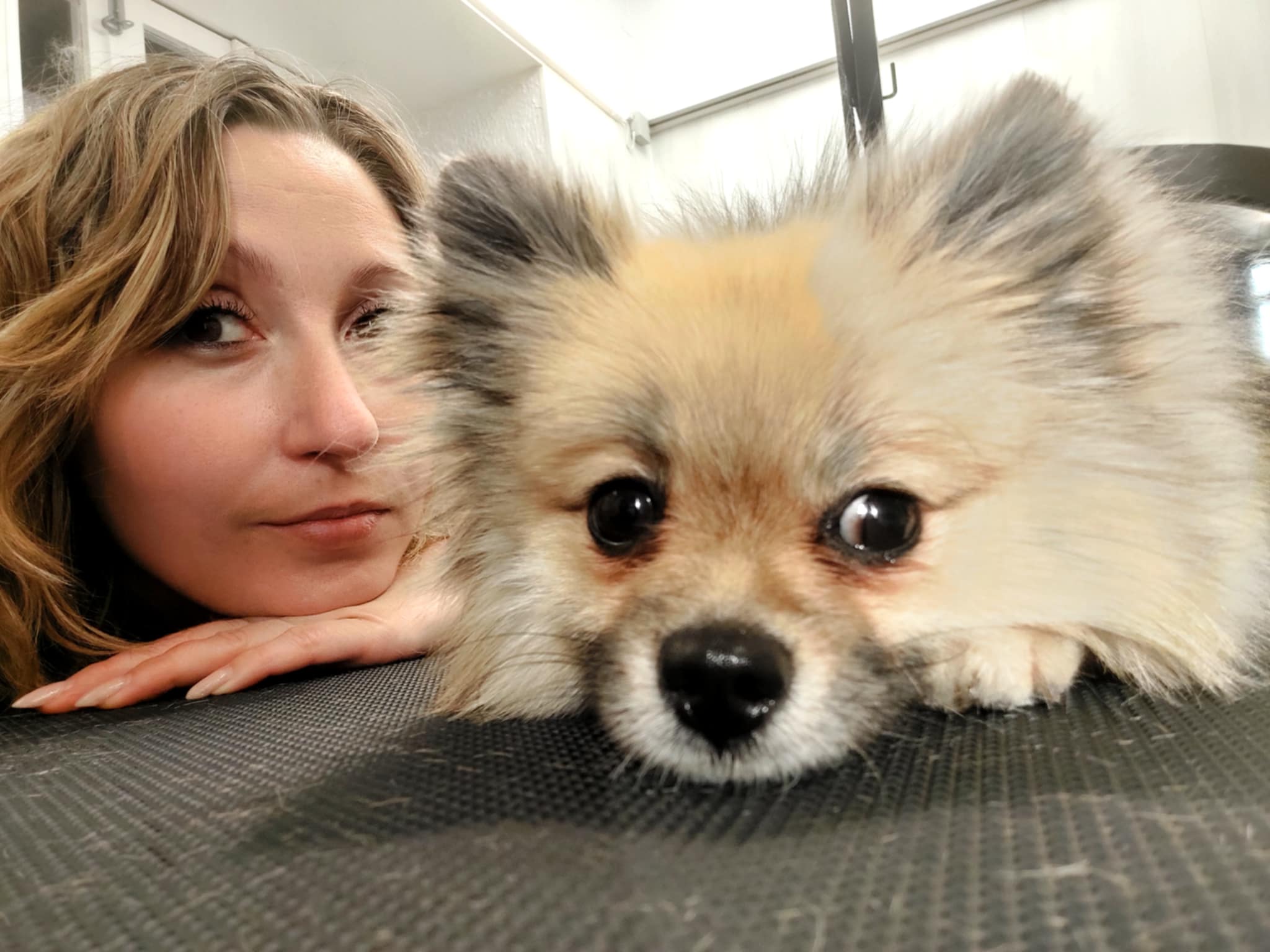 Laëtitia Cheron, toilettteuse prenant soin d'un chien